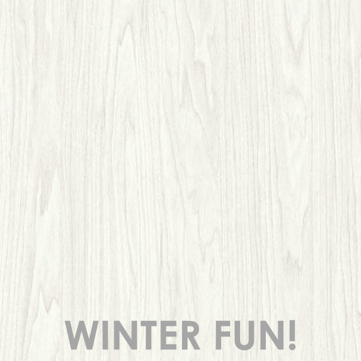 Winter Fun icon